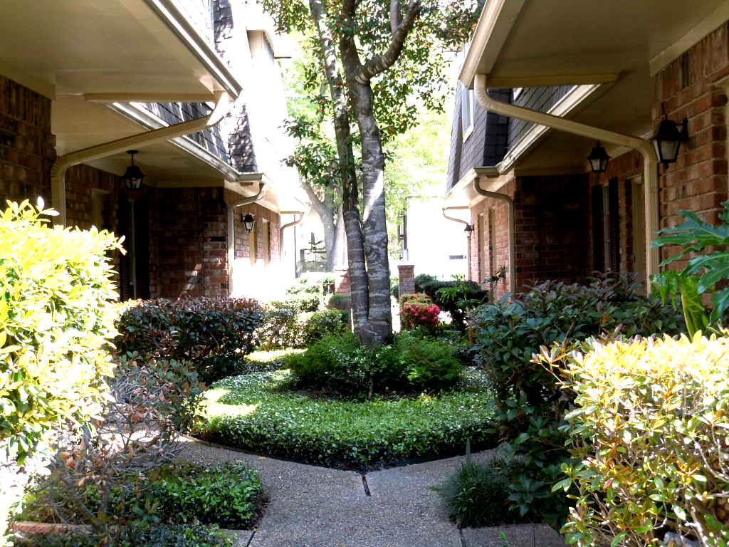 Landscaping Metairie Plaza Apartments